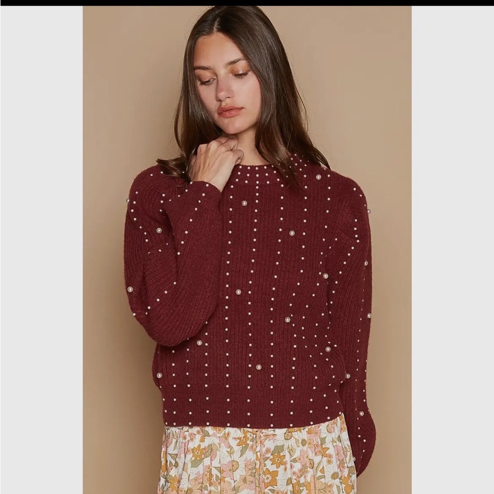 High Neck Balloon Sleeve Pearl embellished Sweater